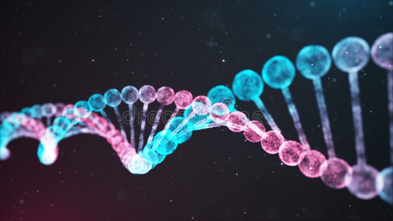 Lazo bicolor de la cadena de la DNA