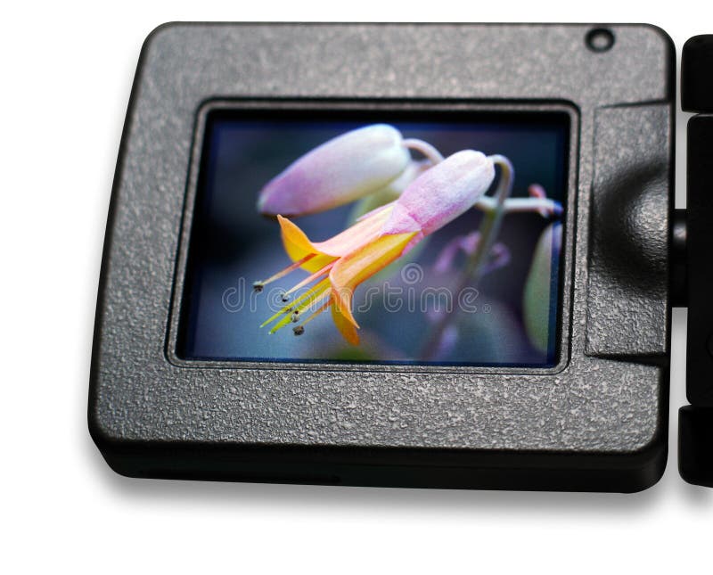 camera behind lcd screen free sample