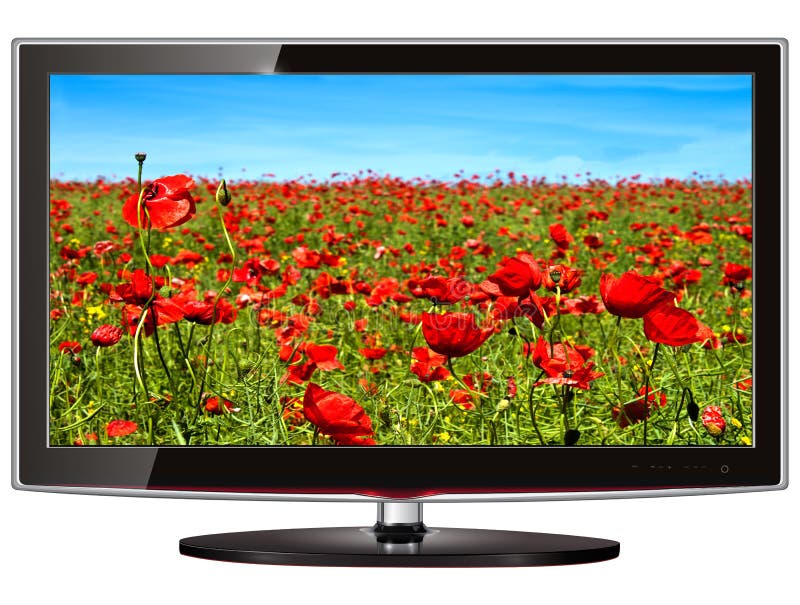 TV flat screen lcd, plasma with wild flowers on screen. Lcd tv vector illustrations
