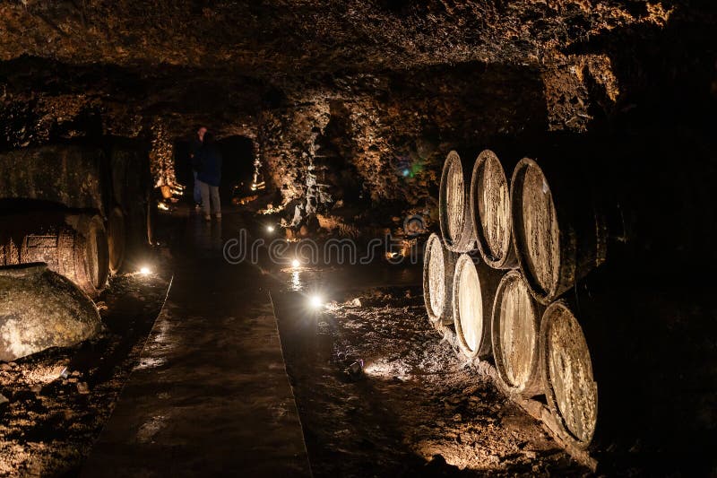 Yerevan, Armenia - October 2, 2023: old wooden barrels in NOY brandy factory dungeon in Yerevan. Noy is the oldest Yerevan factory for production of Armenian cognac, it was founded in 1877. Cognac production stock images, royalty-free photos and pictures