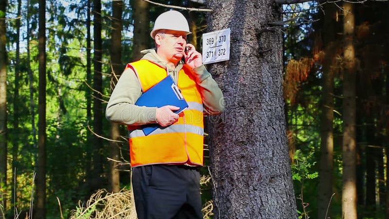 Le bûcheron parlant au téléphone portable près a marqué l'arbre dans la forêt