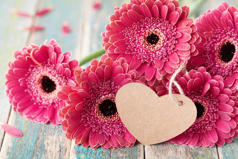 Le beau bouquet de la marguerite de gerbera fleurit avec la note de salutation dans la forme du coeur pour les valentines, la fem images libres de droits Le beau bouquet de la marguerite de gerbera fleurit avec la note de salutation dans la forme du coeur pour les valentines, la fem images libres de droits