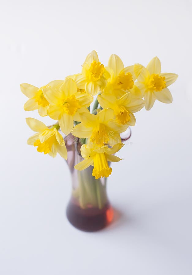 Le beau bouquet du narcisus jaune fleurit dans un vase en verre. Le beau bouquet du narcisus de jaune de ressort fleurit dans un vase en verre