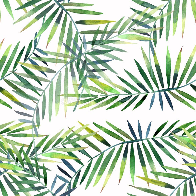 Le beau modèle floral merveilleux tropical de fines herbes vert lumineux d'été d'Hawaï d'une paume et d'un monstera tropicaux lai illustration stock