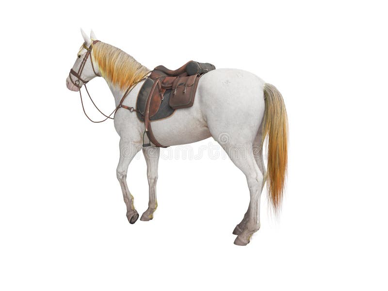 Le blanc de cheval avec 3d d'isolement par frein ne rendent sur le fond blanc aucune ombre illustration de vecteur Le blanc de cheval avec 3d d'isolement par frein ne rendent sur le fond blanc aucune ombre illustration de vecteur