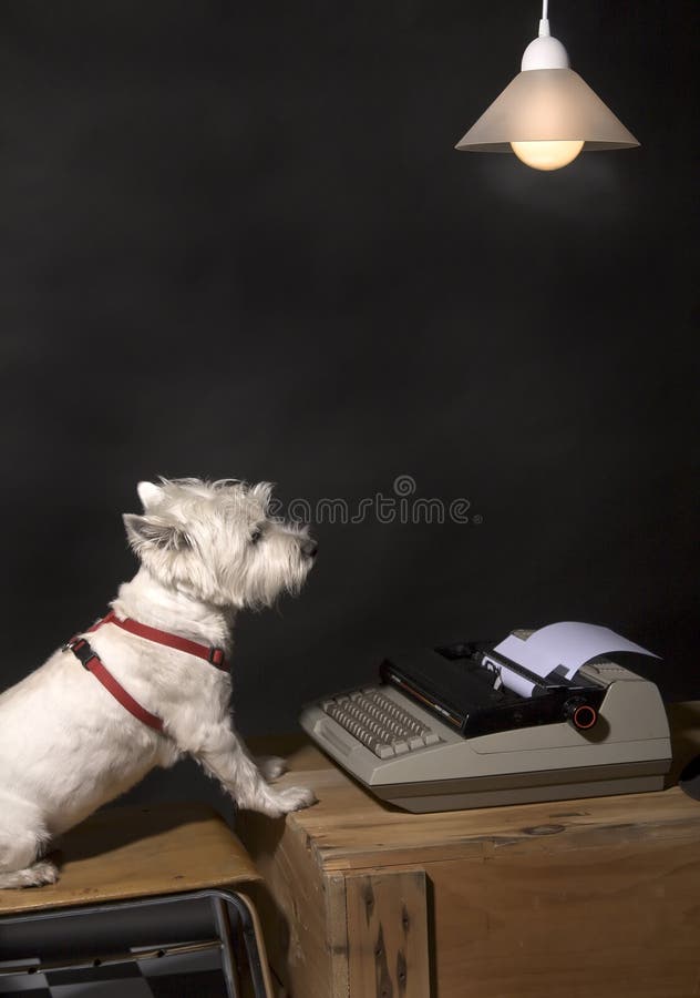 White West Highland Terrier sitting on a chair at a wooden crate with a typewriter on it and a hanging lamp overhead. White West Highland Terrier sitting on a chair at a wooden crate with a typewriter on it and a hanging lamp overhead