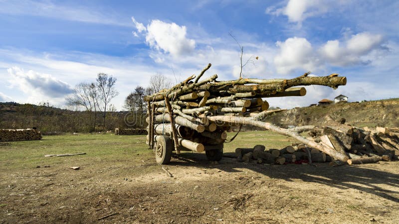 Remorque Pour Le Transport Du Bois De Chauffage En Hiver Photo