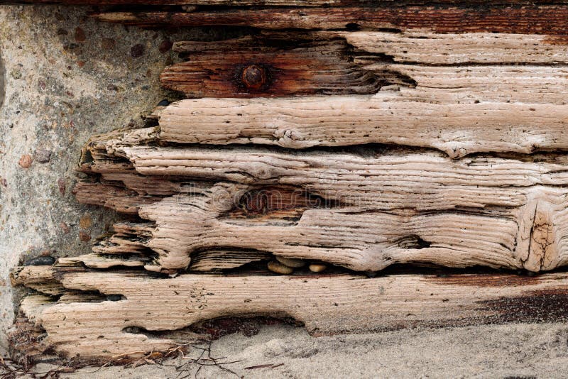 Le bois de flottage avec les boulons rouillés a placé contre un mur en pierre en béton, fond de grunge de vintage photos libres de droits Le bois de flottage avec les boulons rouillés a placé contre un mur en pierre en béton, fond de grunge de vintage photos libres de droits