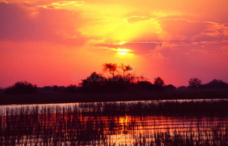 Le Botswana : Croisière de delta d'Okavango au coucher du soleil