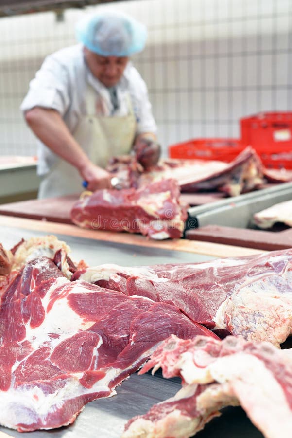 Le boucher travaille dans un abattoir et coupe m fraîchement abattu images libres de droits Le boucher travaille dans un abattoir et coupe m fraîchement abattu images libres de droits