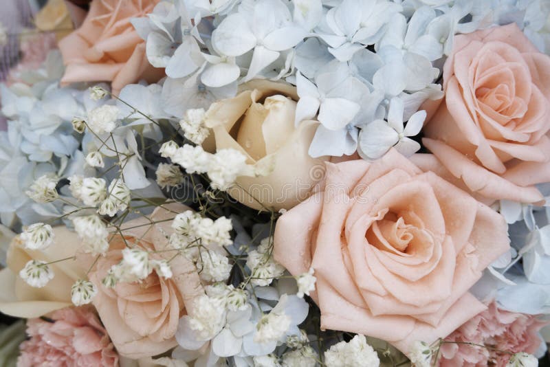 Le bouquet de s'est levé images libres de droits Le bouquet de s'est levé images libres de droits