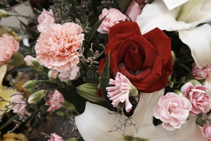 Le bouquet de s'est levé photos stock Le bouquet de s'est levé photos stock