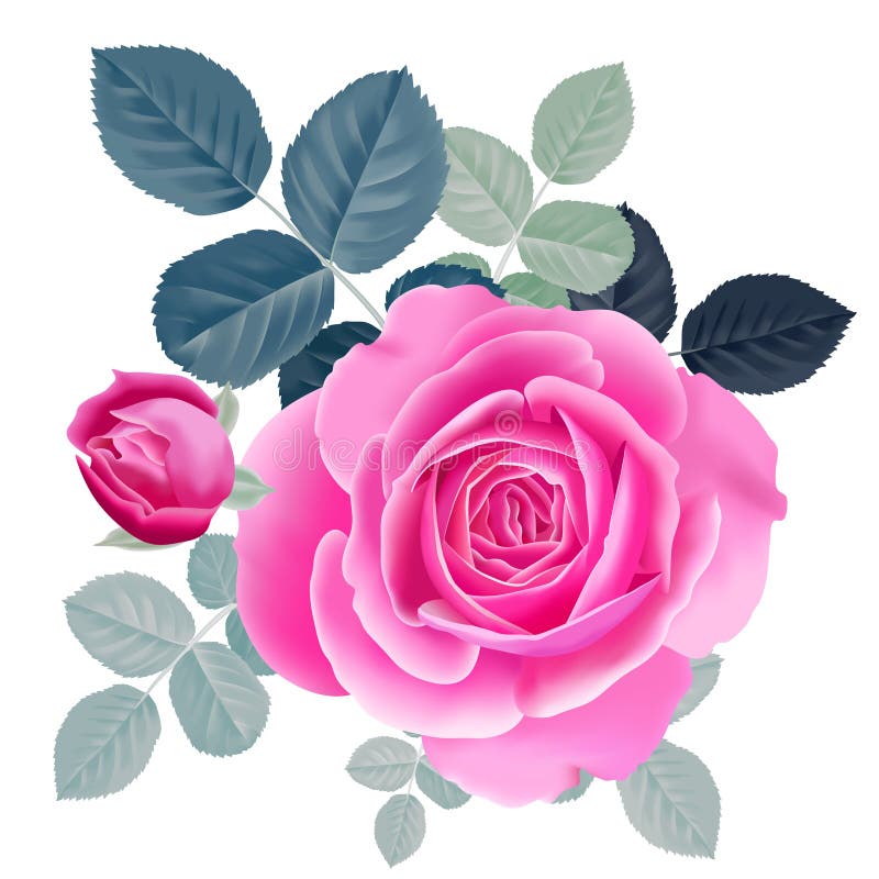 Le bouquet du rose s'est levé illustration de vecteur Le bouquet du rose s'est levé illustration de vecteur