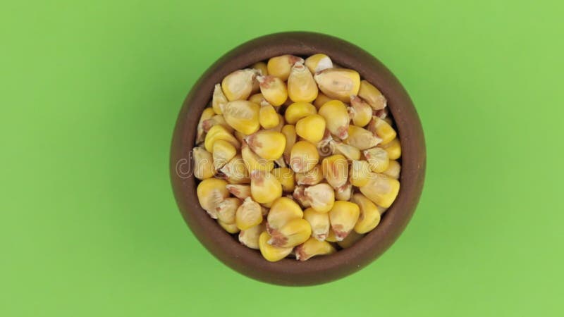 Le bourdonnement d'un pot d'argile a rempli de grain de maïs Écran vert d'isolement banque de vidéos