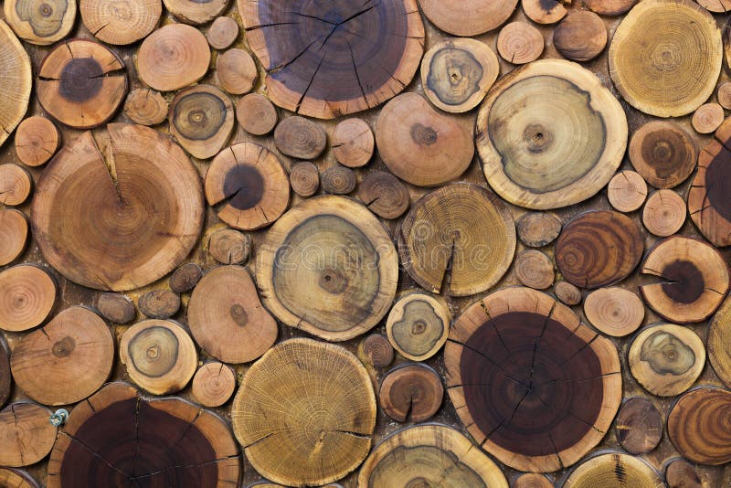 Round wooden unpainted solid natural ecological soft colored brown and yellow stumps background, Tree cut sections different sizes for pad mat background texture. Do It Yourself art concept. Round wooden unpainted solid natural ecological soft colored brown and yellow stumps background, Tree cut sections different sizes for pad mat background texture. Do It Yourself art concept.