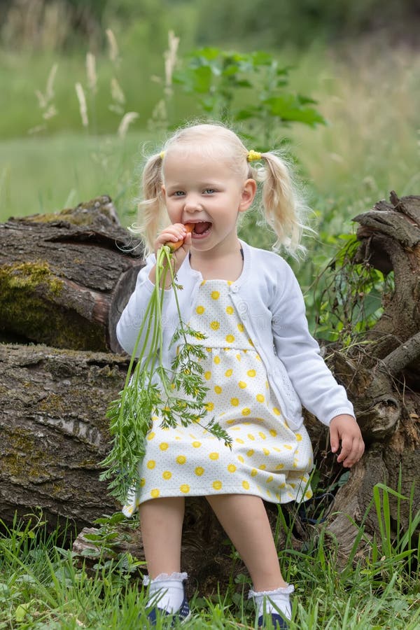 Le carote dei raccolti della bambina fotografia stock libera da diritti Le carote dei raccolti della bambina fotografia stock libera da diritti