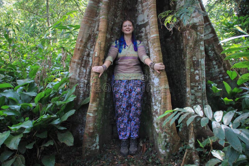 Le Ceiba est un genre des arbres dans le Malvaceae de famille, indigène aux secteurs tropicaux et subtropicaux des Amériques et d image stock Le Ceiba est un genre des arbres dans le Malvaceae de famille, indigène aux secteurs tropicaux et subtropicaux des Amériques et d image stock