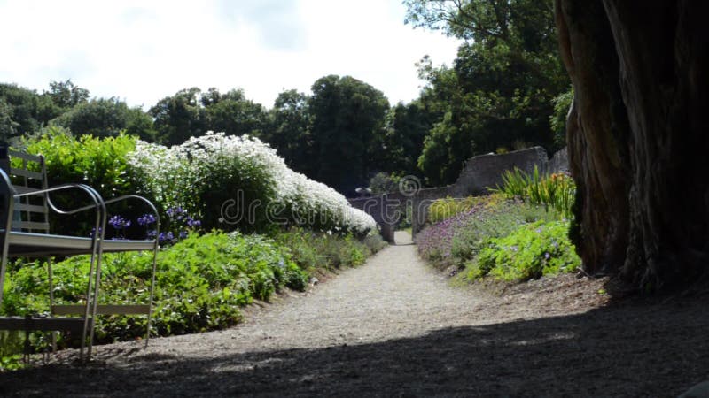 Le chemin à travers le jardin d'agrément avec la verdure flourishing part dans la brise et un siège ombragé dans le premier plan banque de vidéos