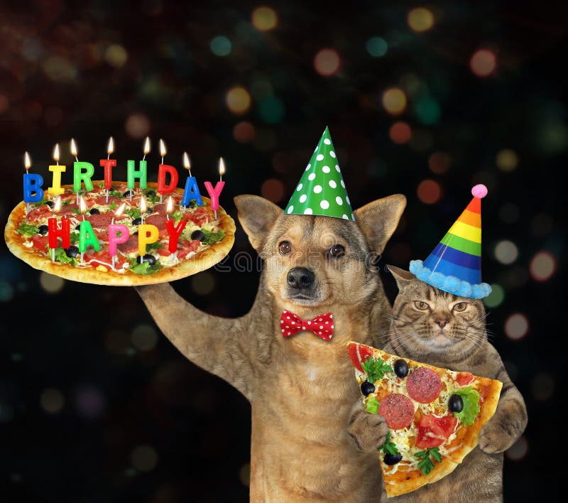 2 7 Chat De Joyeux Anniversaire Photos Libres De Droits Et Gratuites De Dreamstime 2 7 Chat De Joyeux Anniversaire Photos Libres De Droits Et Gratuites De Dreamstime