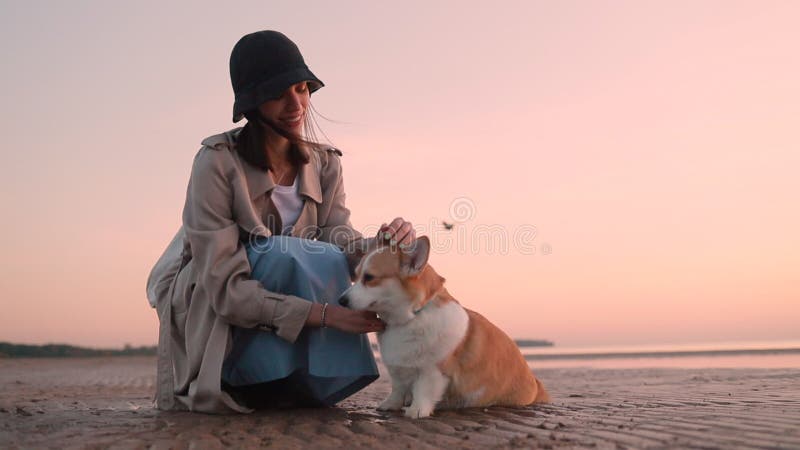 Le chien de courses de femme et se trouve sur la plage de mer pour égaliser le coucher du soleil à l'extérieur. banque de vidéos
