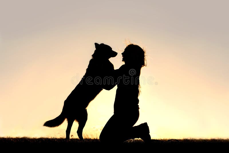 Le chien heureux sautant jusqu'à saluent la silhouette de femme image stock Le chien heureux sautant jusqu'à saluent la silhouette de femme image stock