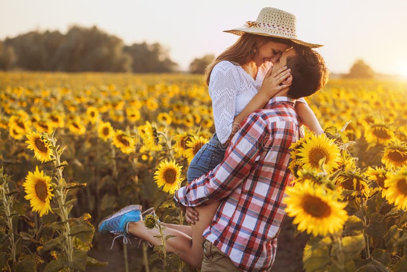 Le couple affectueux marche dans un domaine de floraison de tournesol images libres de droits Le couple affectueux marche dans un domaine de floraison de tournesol images libres de droits