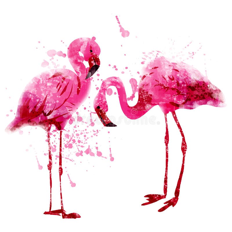 Le couple de flamant de rose d'aquarelle de vecteur éclabousse dedans illustration de vecteur