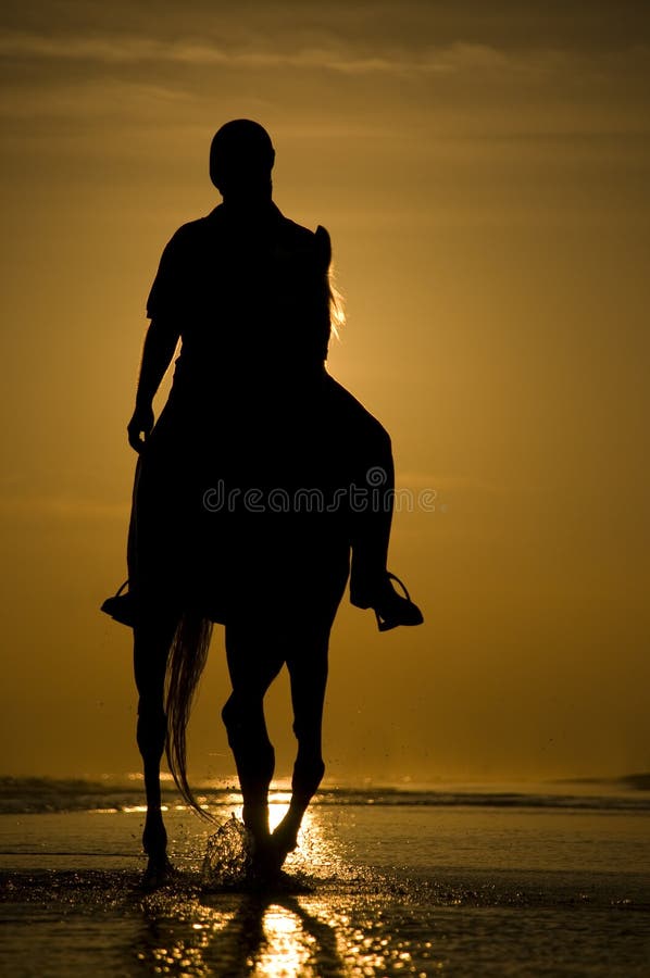 Le curseur de cheval sur la plage images stock Le curseur de cheval sur la plage images stock