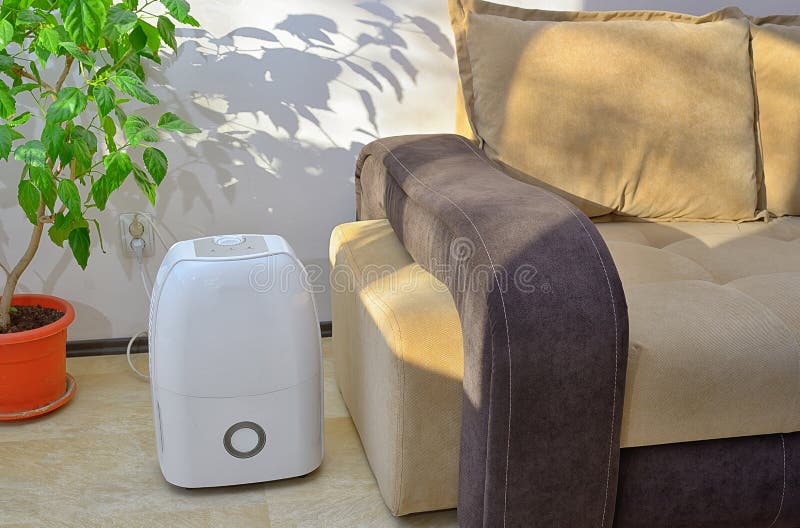 Soins Aux Usines : Utilisation De L'humidificateur D'air à La Maison Pour  Maintenir L'humidité Et Le Concept De Santé Des Plantes Image stock - Image  du dispositif, frais: 230287147