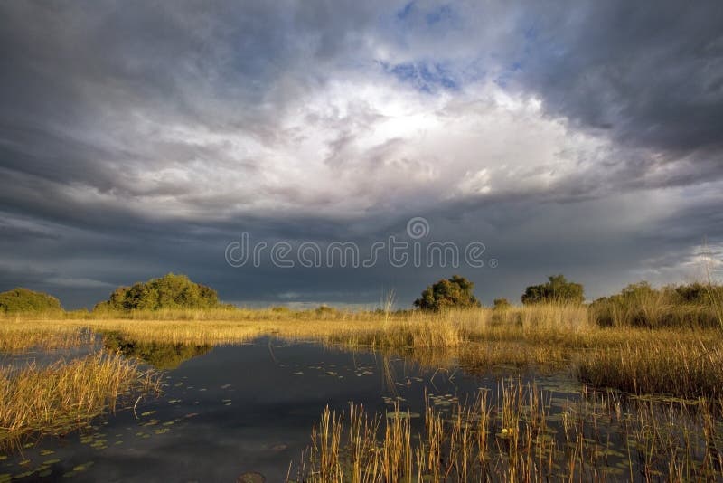 Le delta d'Okavango - Botswana