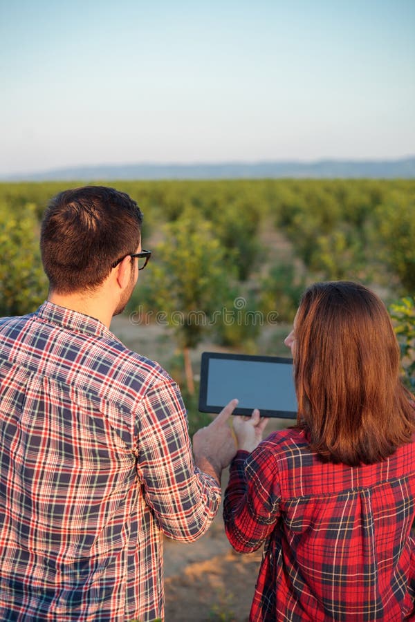 Le den unga mannen och kvinnliga bönder eller agronomer som kontrollerar fruktfruktträdgården Besk?da bakifr?n arkivfoto Le den unga mannen och kvinnliga bönder eller agronomer som kontrollerar fruktfruktträdgården Besk?da bakifr?n arkivfoto