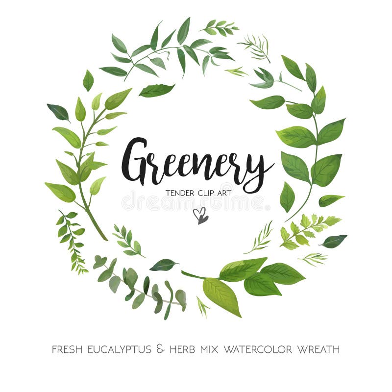 Le design de carte floral de vecteur avec la fougère verte d'eucalyptus laisse l'eleg
