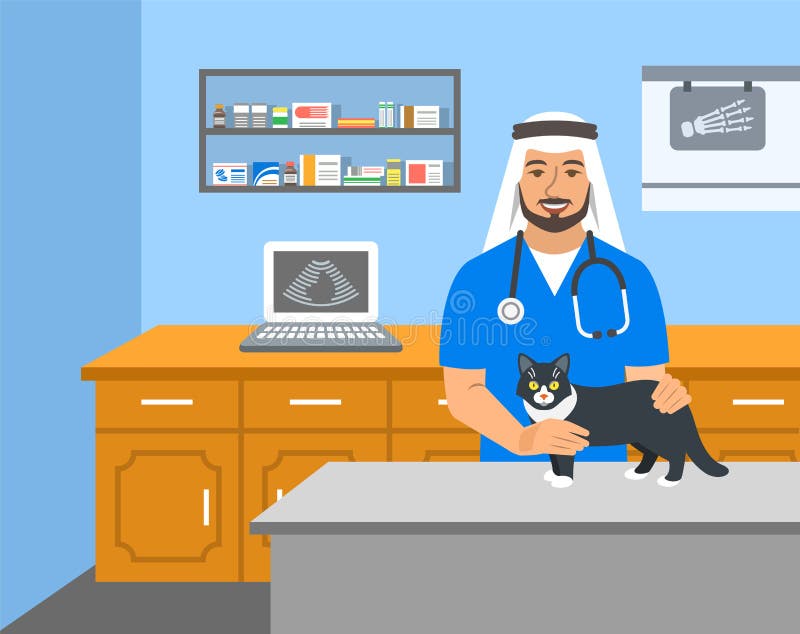 Le docteur vétérinaire tient le chat sur la table d'examen illustration libre de droits Le docteur vétérinaire tient le chat sur la table d'examen illustration libre de droits