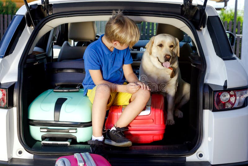 Le feste pronte della casa del bagaglio del bambino del ragazzo del cane di Labrador delle valigie di vacanza di famiglia del sol immagine stock Le feste pronte della casa del bagaglio del bambino del ragazzo del cane di Labrador delle valigie di vacanza di famiglia del sol immagine stock