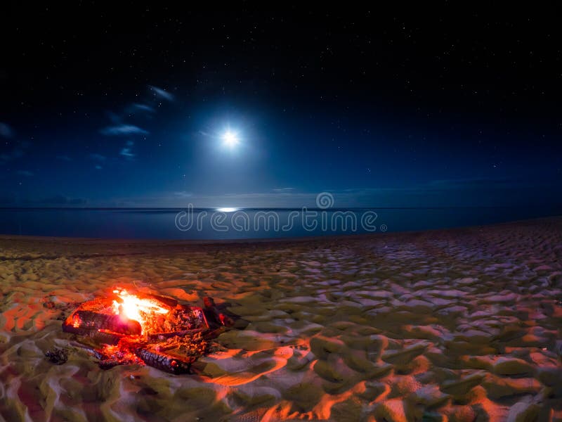 372 Clair De Lune Sur La Plage Photos Libres De Droits Et Gratuites De Dreamstime
