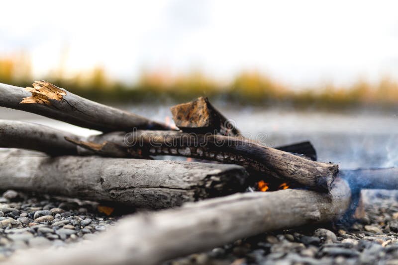 A small campfire burns on a dry pebble riverbed. The trees in the distance are half gold and half green due to the fall season. A small campfire burns on a dry pebble riverbed. The trees in the distance are half gold and half green due to the fall season.