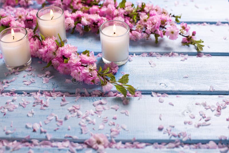 Le fond avec le rose de Sakura fleurit et des bougies sur le woode bleu photo stock Le fond avec le rose de Sakura fleurit et des bougies sur le woode bleu photo stock