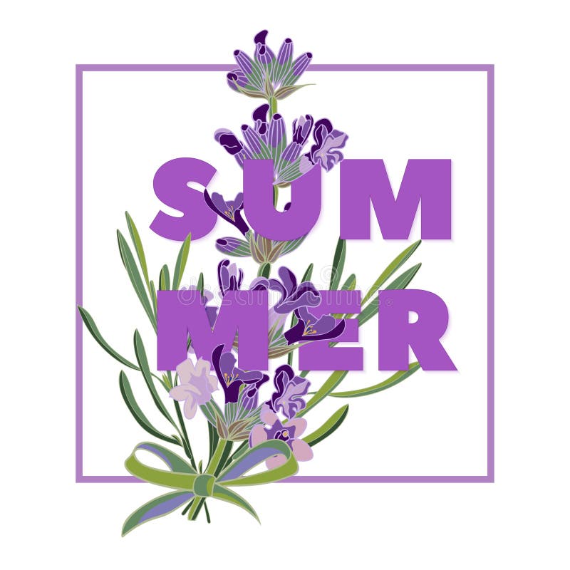 Le fond floral d'été avec la belle lavande fleurit sur le fond blanc Carte de voeux multicolore de typographie illustration de vecteur Le fond floral d'été avec la belle lavande fleurit sur le fond blanc Carte de voeux multicolore de typographie illustration de vecteur