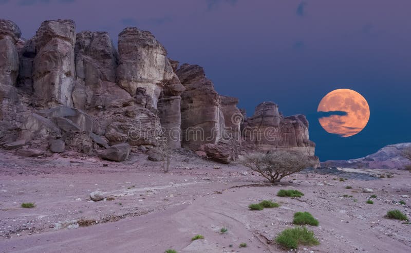 Le formazioni geologiche in natura abbandonano la valle del parco di Timna, Israele