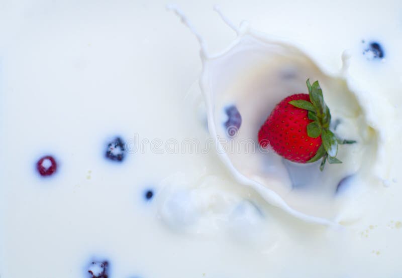 Le fragole ed i mirtilli spruzzano i frutti dolci rossi e blu del primo piano crema fotografie stock libere da diritti Le fragole ed i mirtilli spruzzano i frutti dolci rossi e blu del primo piano crema fotografie stock libere da diritti