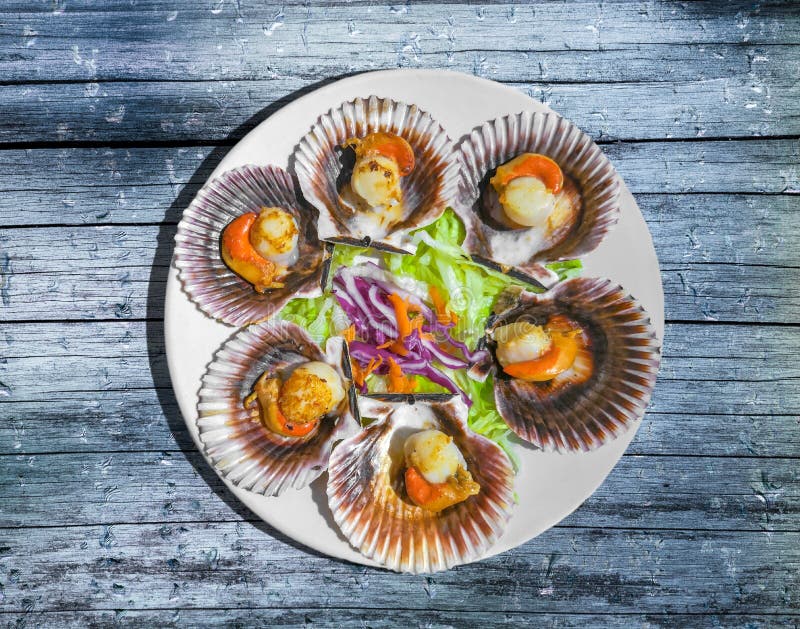 Le Galicien grillé crante avec de la salade sur la table en bois bleue Festons variés ibériques Zamburiñas image stock Le Galicien grillé crante avec de la salade sur la table en bois bleue Festons variés ibériques Zamburiñas image stock