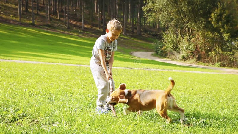 Le garçon blond joue avec son ami de chien de briquet