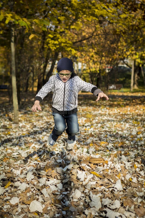 Le garçon sautant dans des feuilles sèches image stock Le garçon sautant dans des feuilles sèches image stock