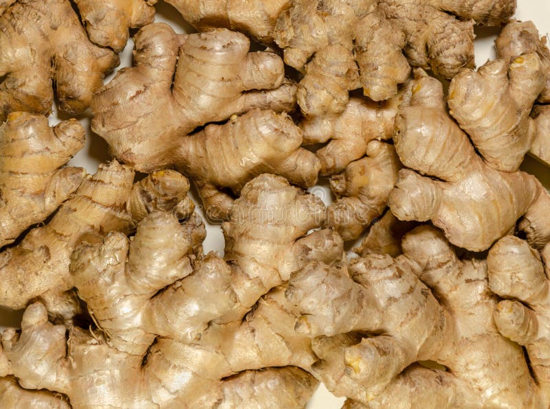 Le gingembre frais enracine des rhizomes d'en haut images stock