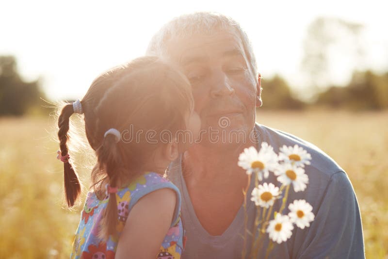 Joyful grandfather and granddaughter enjoy spare time together on green field, pick up camomiles. Small female child kisses grandfather. Two different generation concept. Relationship and feelings. Joyful grandfather and granddaughter enjoy spare time together on green field, pick up camomiles. Small female child kisses grandfather. Two different generation concept. Relationship and feelings