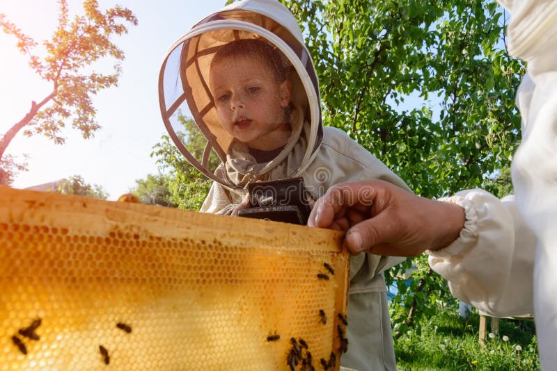 Le grand-père expérimenté d'apiculteur enseigne son petit-fils s'inquiétant des abeilles Apiculture Le transfert de l'expérience photographie stock libre de droits Le grand-père expérimenté d'apiculteur enseigne son petit-fils s'inquiétant des abeilles Apiculture Le transfert de l'expérience photographie stock libre de droits