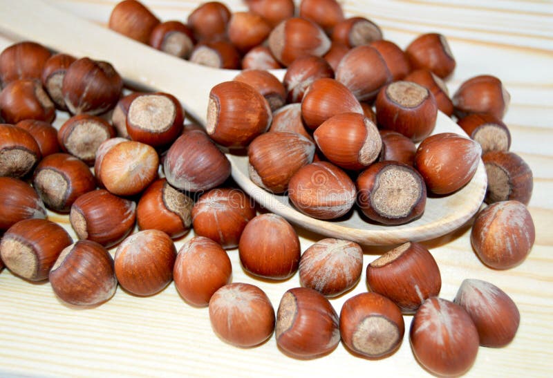 Le immagini crostose del nuovo dado naturale fotografia stock libera da diritti Le immagini crostose del nuovo dado naturale fotografia stock libera da diritti