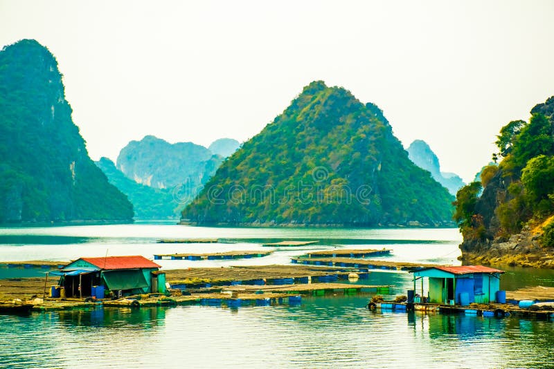 Le isole di galleggiamento della roccia e del paesino di pescatori in Halong abbaiano, il Vietnam immagini stock Le isole di galleggiamento della roccia e del paesino di pescatori in Halong abbaiano, il Vietnam immagini stock