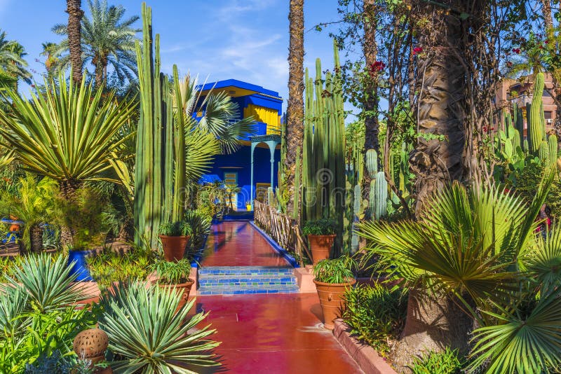 Le Jardin Majorelle, jardim tropical de surpresa em C4marraquexe imagem de stock royalty free Le Jardin Majorelle, jardim tropical de surpresa em C4marraquexe imagem de stock royalty free