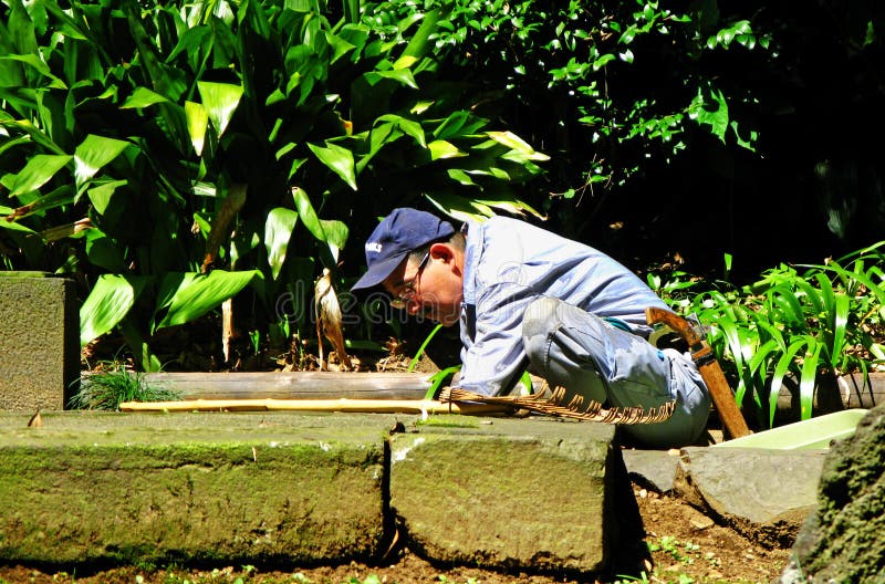 Le jardinier japonais dégage des mauvaises herbes au sol images stock Le jardinier japonais dégage des mauvaises herbes au sol images stock